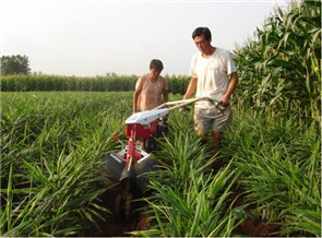 姜地開溝培土機(jī)