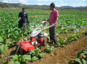 開溝機(jī)供應(yīng)商