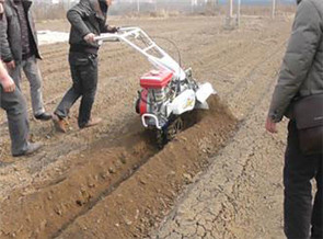 開溝機(jī)使用效果